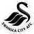 Swansea City AFC Fan