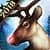 Wild Animals Hunting
