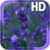 Lavender Flowers LWP