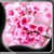 Beautiful Sakura Live Wallpapers