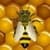 Bee Live Wallpaper HD