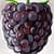 Blackberries Photo Collage
