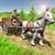 Horse Village Transport 2017