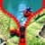 Ladybug Zipper Lock Screen
