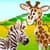 Wild Animals Defense