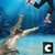 Wild Crocodile Attack 2017