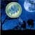 Tales of the Tardigrade