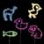 Animal Fireworks Live Wallpaper