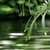 Scenic Live Pond and Nature Reserve