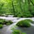 Unique Rivers