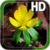 Spring Yellow Flower LWP