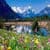 Nice Flowers at lake Wallpaper HD
