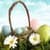 Easter Live