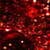 Red Christmas Live Wallpaper 2