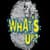 WhatsUp-The Messenger of Happiness
