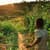 Nature Live Wallpaper 41