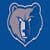 Memphis Grizzlies Fan