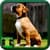 Dog Images Free
