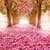 Spring Live