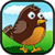 Flappy Happy Bird - Cute