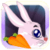 Caper Bunny