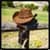 The Top Country Radio