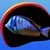 Neon Fish Live Wallpapers
