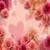 Pink Roses Romantic Live Wallpaper