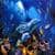 Blue Dolphins Live Wallpaper