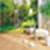 Note 2 nature  wallpaper pic