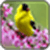 Note 2 IMage Every day is different and new wallpa