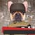 Cool Dog Face Photo Montage