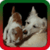 Cat Vs Dog Ringtones