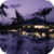 Night In Malibu Live Wallpaper