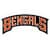 Cincinnati Bengals Fan