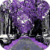Sunday Rain Live Wallpaper