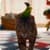 Parrot and Cat Friends LiveWP