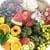 Raw Food Diet For All