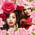 New Roses Photo Collage