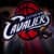 Cleveland Cavaliers Fan