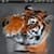 Weeping Tiger
