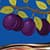 Plum Photo Collage Maker