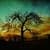 Evening Sunset View Live Wallpaper