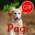 Indonesian Good Morning Good Night Gifs
