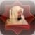 Dr. Salman Al-odah's Articles