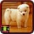 Dog Pic
