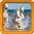 Horse Live Wallpapers Best