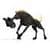Horse Whinny Sounds