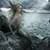 Mermaid Live Wallpaper Best