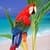 Birds Live HD Wallpapers